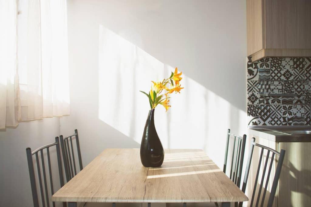 티실리비 Pierina House 빌라 외부 사진